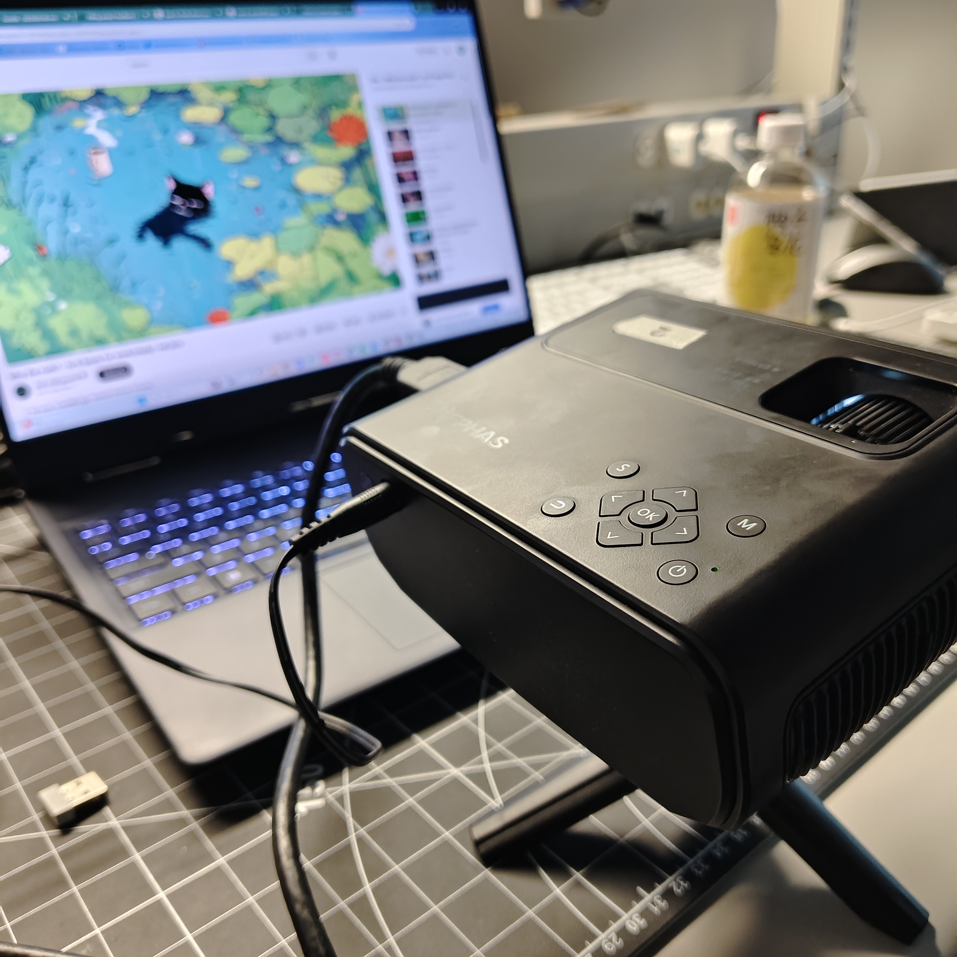 I connected the first projector to test it out. 