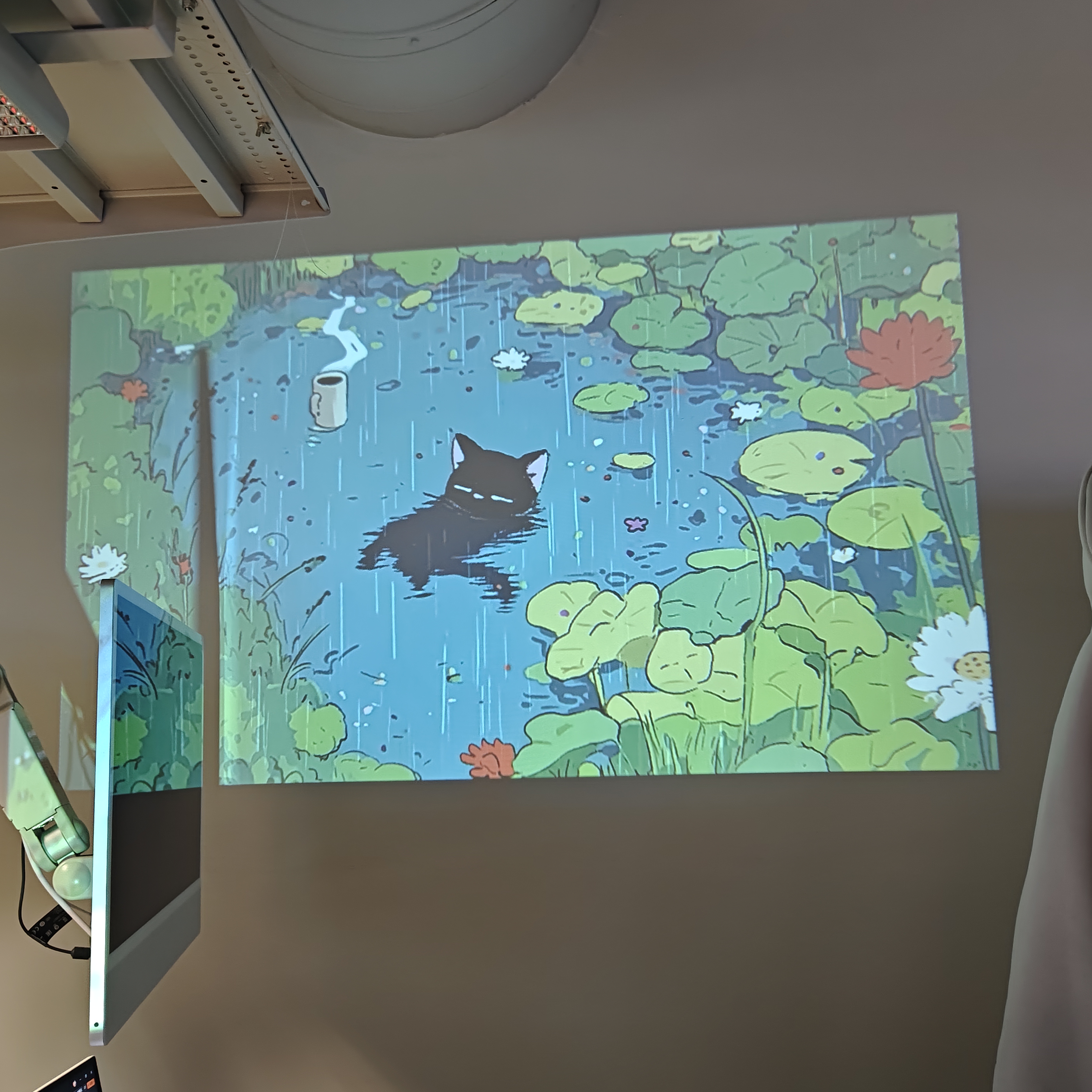 This projection colour is way better than the one before. 